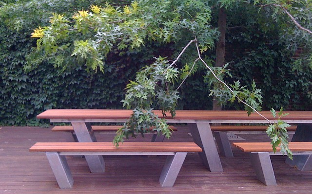 Image 001
